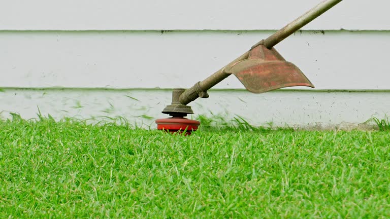 Best Pest Control for Lawns  in West Bradenton, FL